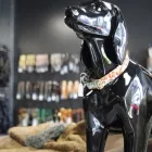 Entreprises 3 image AMICAU detailhandel in huisdieren, voedsel voor huisdieren en benodigdheden daarvoor in gespecialiseerde winkels dans Sint-Genesius-Rode VBR