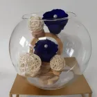 Bedrijfsimago 1