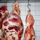 Entreprises 2 image BENS detailhandel in vlees en vleesproducten in gespecialiseerde winkels, m.u.v. vlees van wild en van gevogelte dans Oevel VAN