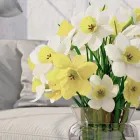 Entreprises 3 image BLOEMEN EN TUINAANLEG DEMAREZ JOOST detailhandel in bloemen, planten, zaden en kunstmeststoffen in gespecialiseerde winkels dans Lendelede VWV