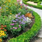 Entreprises 5 image BLOEMEN EN TUINAANLEG DEMAREZ JOOST detailhandel in bloemen, planten, zaden en kunstmeststoffen in gespecialiseerde winkels dans Lendelede VWV