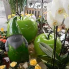 Entreprises 6 image BLOEMEN EN TUINAANLEG DEMAREZ JOOST detailhandel in bloemen, planten, zaden en kunstmeststoffen in gespecialiseerde winkels dans Lendelede VWV