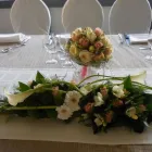 Entreprises 2 image BLOEMEN EN TUINAANLEG DEMAREZ JOOST detailhandel in bloemen, planten, zaden en kunstmeststoffen in gespecialiseerde winkels dans Lendelede VWV