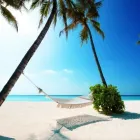 Entreprises 1 image CIC VOYAGES-REIZEN reisbureaus dans Mechelen VAN