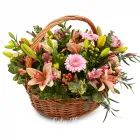 Entreprises 3 image CITYFLOWERS detailhandel in bloemen, planten, zaden en kunstmeststoffen in gespecialiseerde winkels dans Antwerp VAN