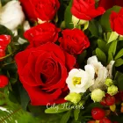 Entreprises 4 image CITYFLOWERS detailhandel in bloemen, planten, zaden en kunstmeststoffen in gespecialiseerde winkels dans Antwerp VAN