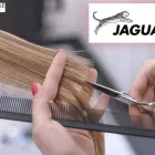 Entreprises 4 image COMMERCIALE COIFFURE haarverzorging dans Hasselt VLI