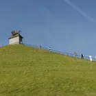 Entreprises 30 image CROWNE PLAZA BRUSSELS AIRPORT hotels en dergelijke accommodatie dans Brussels