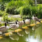 Entreprises 31 image CROWNE PLAZA BRUSSELS AIRPORT hotels en dergelijke accommodatie dans Brussels