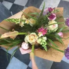 Entreprises 5 image DE AMARANT detailhandel in bloemen, planten, zaden en kunstmeststoffen in gespecialiseerde winkels dans Belsele VOV