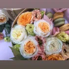 Entreprises 6 image DE AMARANT detailhandel in bloemen, planten, zaden en kunstmeststoffen in gespecialiseerde winkels dans Belsele VOV