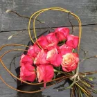 Entreprises 3 image DE AMARANT detailhandel in bloemen, planten, zaden en kunstmeststoffen in gespecialiseerde winkels dans Belsele VOV