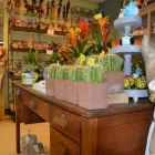 Entreprises 2 image DE BLOEMENKORF - FRANCINE detailhandel in bloemen, planten, zaden en kunstmeststoffen in gespecialiseerde winkels dans Oostende VWV