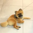 Bedrijfsimago 4