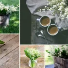 Entreprises 3 image DE VIER SEIZOENEN detailhandel in bloemen, planten, zaden en kunstmeststoffen in gespecialiseerde winkels dans Assebroek VWV