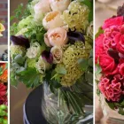 Entreprises 5 image DE VIER SEIZOENEN detailhandel in bloemen, planten, zaden en kunstmeststoffen in gespecialiseerde winkels dans Assebroek VWV