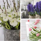 Entreprises 2 image DE VIER SEIZOENEN detailhandel in bloemen, planten, zaden en kunstmeststoffen in gespecialiseerde winkels dans Assebroek VWV