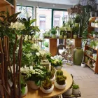 Entreprises 2 image FLEUR BLOEMENATELIER detailhandel in bloemen, planten, zaden en kunstmeststoffen in gespecialiseerde winkels dans Zottegem VOV