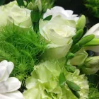 Entreprises 1 image FLEUR BLOEMENATELIER detailhandel in bloemen, planten, zaden en kunstmeststoffen in gespecialiseerde winkels dans Zottegem VOV