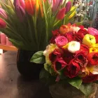 Entreprises 2 image FLEURISTE HÉLÈNE detailhandel in bloemen, planten, zaden en kunstmeststoffen in gespecialiseerde winkels dans Sint-Amandsberg VOV