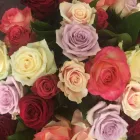 Entreprises 4 image FLEURISTE HÉLÈNE detailhandel in bloemen, planten, zaden en kunstmeststoffen in gespecialiseerde winkels dans Sint-Amandsberg VOV
