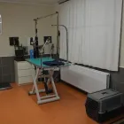 Entreprises 2 image FREWIKI detailhandel in huisdieren, voedsel voor huisdieren en benodigdheden daarvoor in gespecialiseerde winkels dans Leest VAN