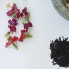 Entreprises 7 image HERBS AND HEALTH groothandel in andere voedingsmiddelen, n.e.g. dans Antwerp VAN