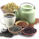 Entreprises 8 image HERBS AND HEALTH groothandel in andere voedingsmiddelen, n.e.g. dans Antwerp VAN
