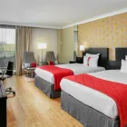 Entreprises 45 image HOLIDAY INN BRUSSELS AIRPORT hotels en dergelijke accommodatie dans Machelen VBR