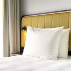 Bedrijfsimago 50