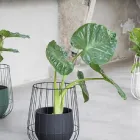 Entreprises 4 image PIGMENT INTERIEUR schilderen van gebouwen dans Zottegem VOV