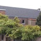 Entreprises 3 image REYNAERTS Y dakwerkzaamheden dans Wihogne WLG