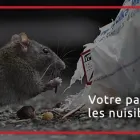 Entreprises 2 image SOS-PARASITES overige reiniging van gebouwen; industriële reiniging dans Koekelberg BBR