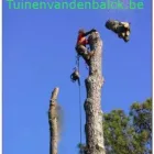 Entreprises 20 image TUINEN VANDENBALCK dans Wijgmaal VBR