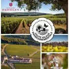 Entreprises 4 image VION WIJNEN detailhandel in wijnen en geestrijke dranken in gespecialiseerde winkels dans Ieper VWV