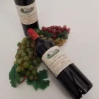 Entreprises 1 image VION WIJNEN detailhandel in wijnen en geestrijke dranken in gespecialiseerde winkels dans Ieper VWV