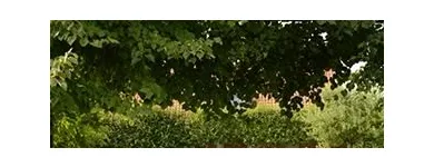 Entreprises 4 image B & B DE HULST hotels en dergelijke accommodatie dans Izegem VWV