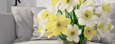 Entreprises 3 image BLOEMEN EN TUINAANLEG DEMAREZ JOOST detailhandel in bloemen, planten, zaden en kunstmeststoffen in gespecialiseerde winkels dans Lendelede VWV