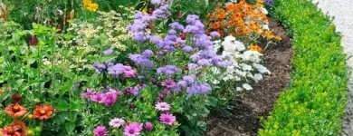 Entreprises 5 image BLOEMEN EN TUINAANLEG DEMAREZ JOOST detailhandel in bloemen, planten, zaden en kunstmeststoffen in gespecialiseerde winkels dans Lendelede VWV