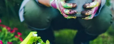 Entreprises 1 image BLOEMEN EN TUINAANLEG DEMAREZ JOOST detailhandel in bloemen, planten, zaden en kunstmeststoffen in gespecialiseerde winkels dans Lendelede VWV