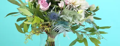 Entreprises 1 image CITYFLOWERS detailhandel in bloemen, planten, zaden en kunstmeststoffen in gespecialiseerde winkels dans Antwerp VAN