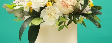 Entreprises 2 image CITYFLOWERS detailhandel in bloemen, planten, zaden en kunstmeststoffen in gespecialiseerde winkels dans Antwerp VAN