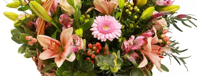 Entreprises 3 image CITYFLOWERS detailhandel in bloemen, planten, zaden en kunstmeststoffen in gespecialiseerde winkels dans Antwerp VAN