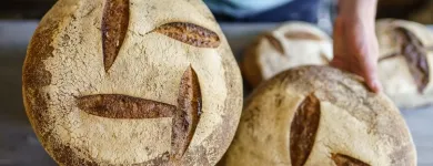 Entreprises 5 image LE PAIN QUOTIDIEN restaurants en mobiele eetgelegenheden dans Brussels BBR