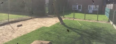 Entreprises 1 image M-GYP elektrotechnische installatiewerken aan gebouwen dans Laeken BBR