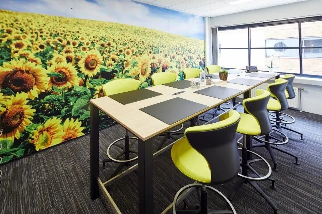 Entreprises 3 image PEDAGOGISCH ADVIESBUREAU DE ZONNEBLOEM