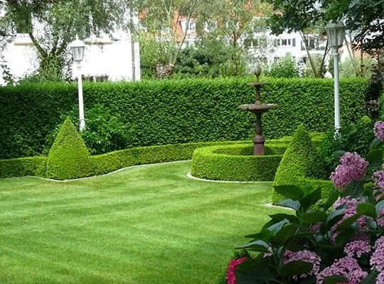 Entreprises 2 image JURGEN VAN DEN BRANDE