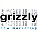 GRIZZLY NEW MARKETING BV overige adviesbureaus op het gebied van bedrijfsbeheer; adviesbureaus op het gebied van bedrijfsvoering dans Sint-Niklaas VOV