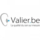 VALIER SPRL overige adviesbureaus op het gebied van bedrijfsbeheer; adviesbureaus op het gebied van bedrijfsvoering dans Etterbeek BBR