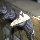 DE PELGRIMS HOEVE